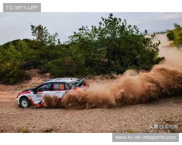 拉力赛中国选手表现优异，赢得多项名次，拉力赛中国车队